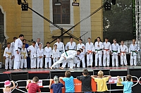 ukazky 2012__21.JPG